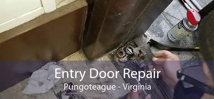 Entry Door Repair Pungoteague - Virginia