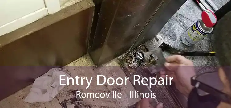 Entry Door Repair Romeoville - Illinois