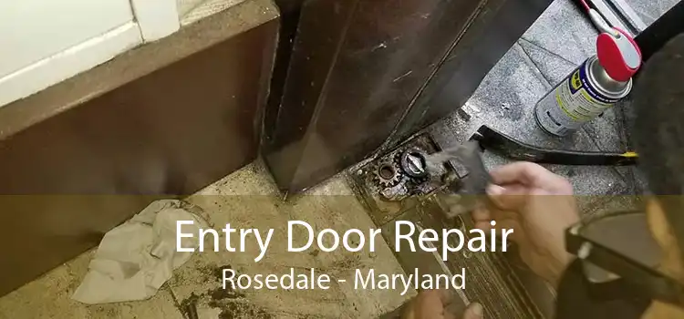 Entry Door Repair Rosedale - Maryland