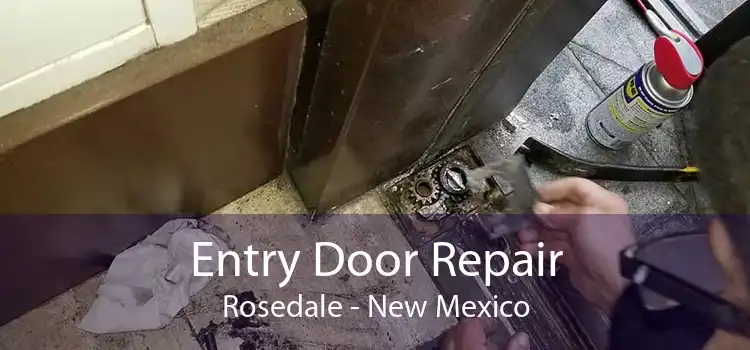 Entry Door Repair Rosedale - New Mexico