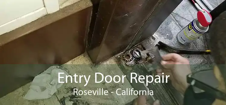 Entry Door Repair Roseville - California