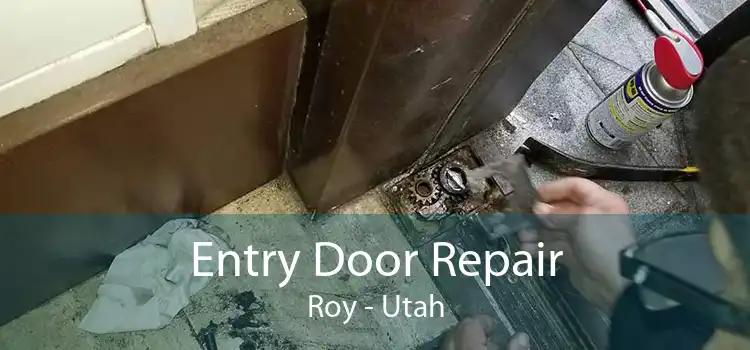 Entry Door Repair Roy - Utah