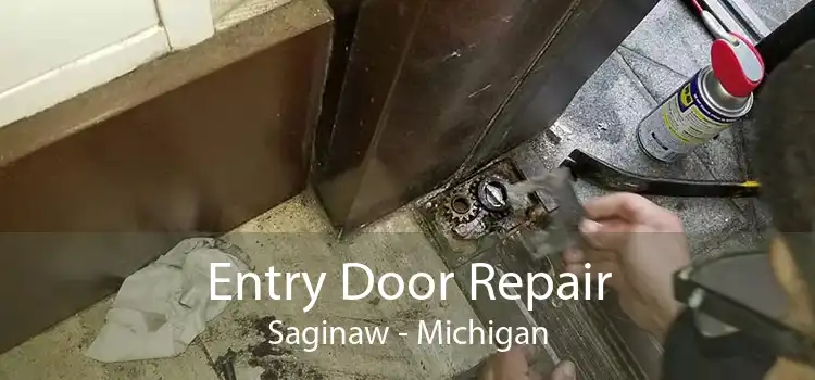 Entry Door Repair Saginaw - Michigan