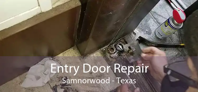 Entry Door Repair Samnorwood - Texas