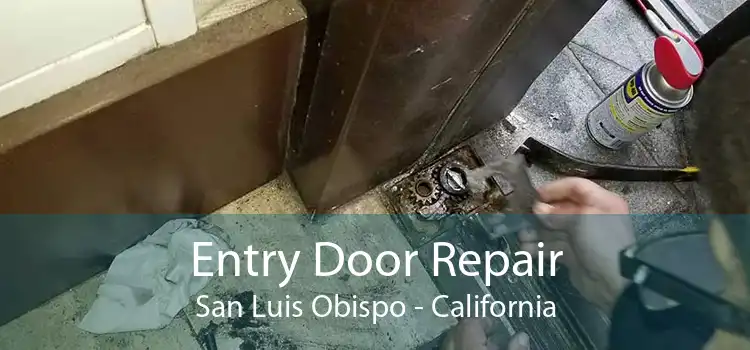 Entry Door Repair San Luis Obispo - California
