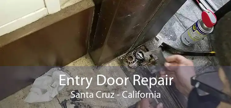 Entry Door Repair Santa Cruz - California