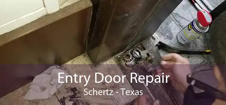 Entry Door Repair Schertz - Texas
