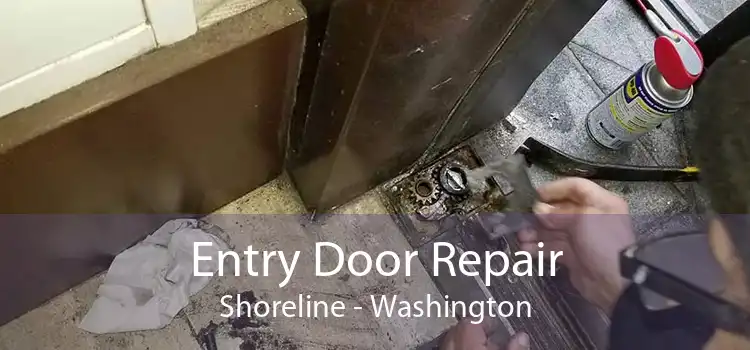 Entry Door Repair Shoreline - Washington