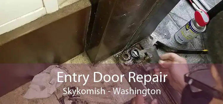 Entry Door Repair Skykomish - Washington