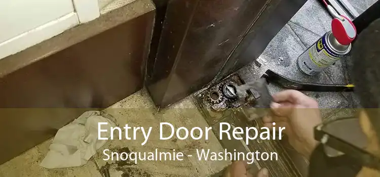 Entry Door Repair Snoqualmie - Washington