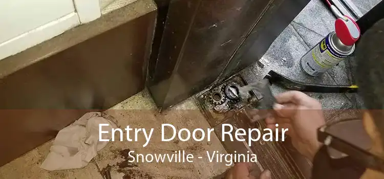 Entry Door Repair Snowville - Virginia