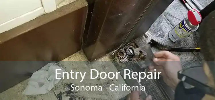 Entry Door Repair Sonoma - California