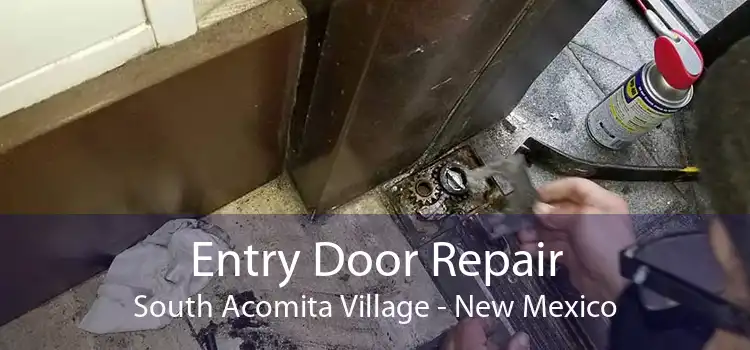 Entry Door Repair South Acomita Village - New Mexico