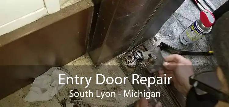Entry Door Repair South Lyon - Michigan
