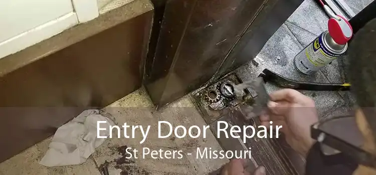 Entry Door Repair St Peters - Missouri