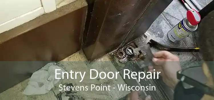 Entry Door Repair Stevens Point - Wisconsin
