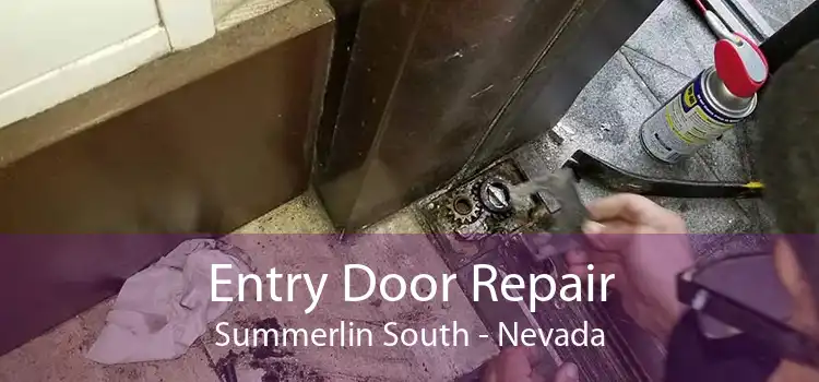 Entry Door Repair Summerlin South - Nevada