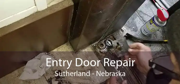 Entry Door Repair Sutherland - Nebraska