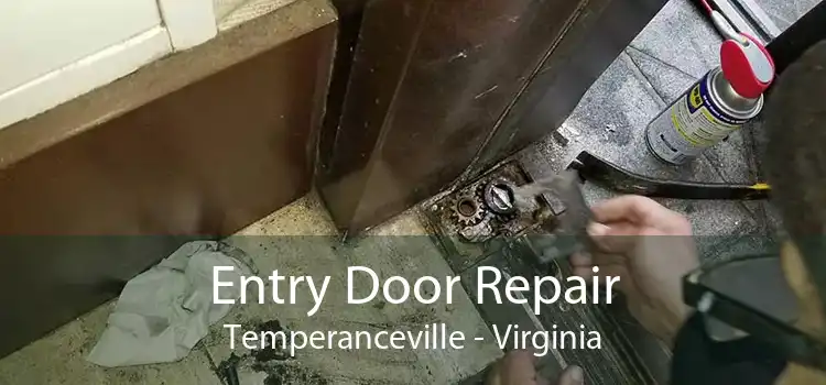 Entry Door Repair Temperanceville - Virginia