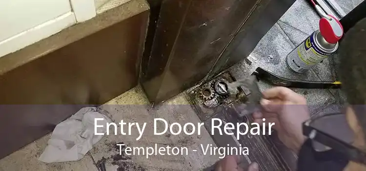 Entry Door Repair Templeton - Virginia