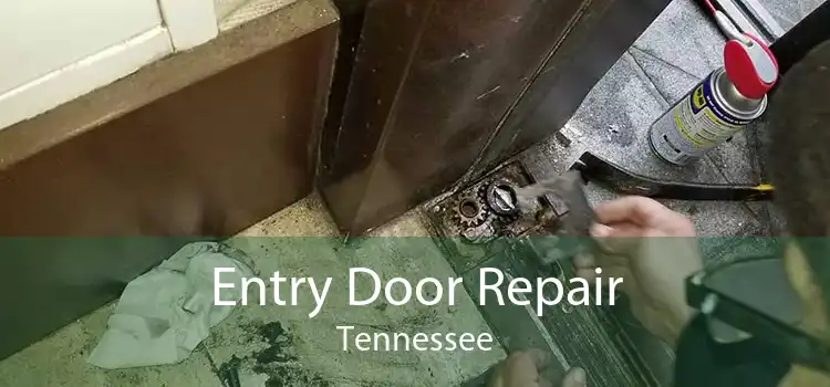 Entry Door Repair Tennessee