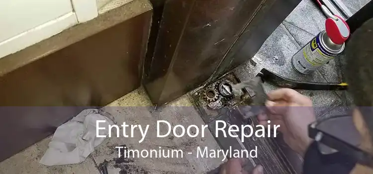Entry Door Repair Timonium - Maryland