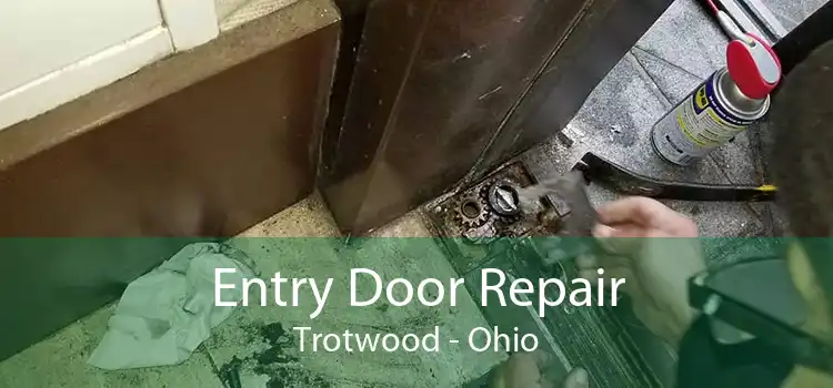 Entry Door Repair Trotwood - Ohio