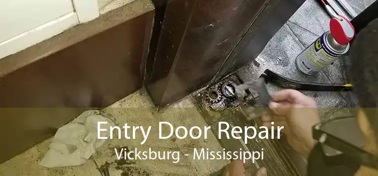 Entry Door Repair Vicksburg - Mississippi