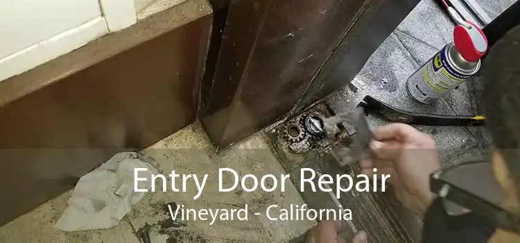 Entry Door Repair Vineyard - California