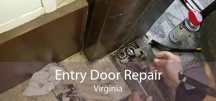 Entry Door Repair Virginia