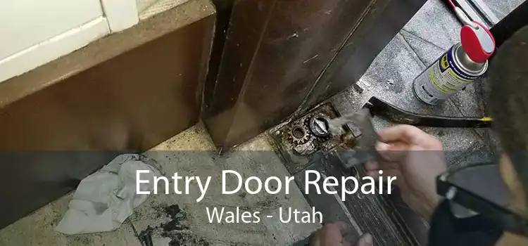 Entry Door Repair Wales - Utah