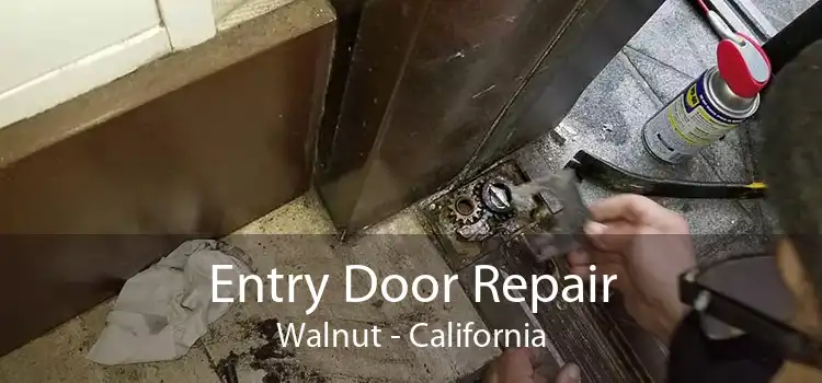 Entry Door Repair Walnut - California