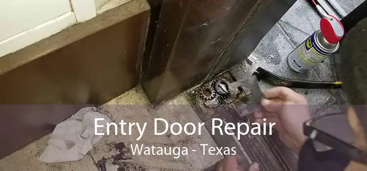 Entry Door Repair Watauga - Texas
