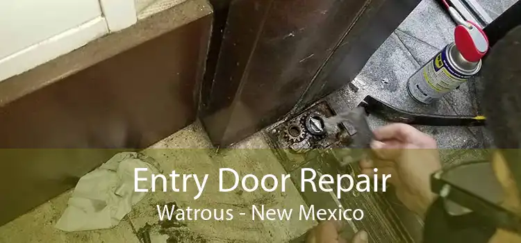 Entry Door Repair Watrous - New Mexico