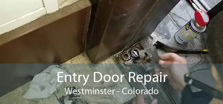 Entry Door Repair Westminster - Colorado