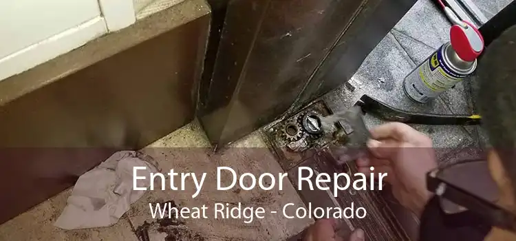 Entry Door Repair Wheat Ridge - Colorado