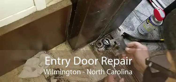 Entry Door Repair Wilmington - North Carolina