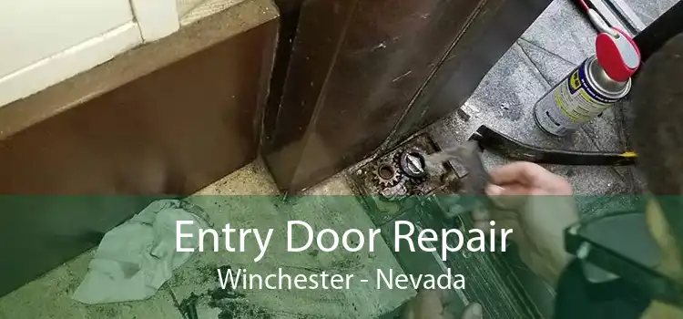 Entry Door Repair Winchester - Nevada