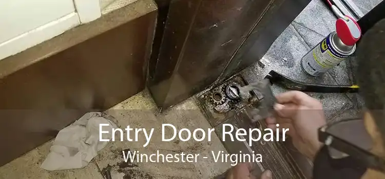 Entry Door Repair Winchester - Virginia