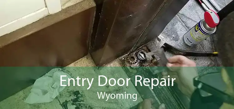 Entry Door Repair Wyoming