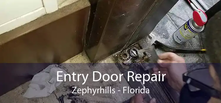 Entry Door Repair Zephyrhills - Florida