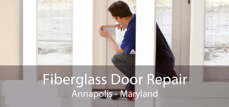 Fiberglass Door Repair Annapolis - Maryland