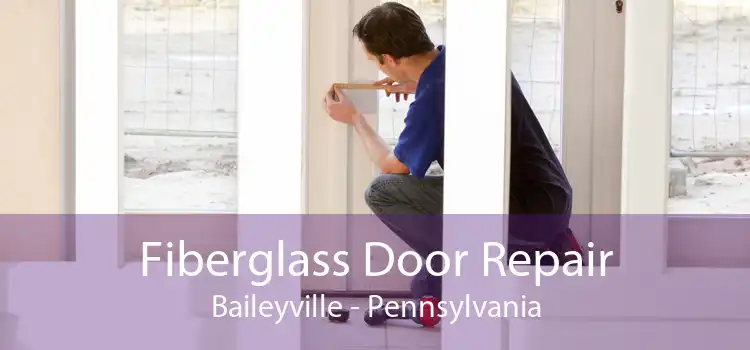 Fiberglass Door Repair Baileyville - Pennsylvania