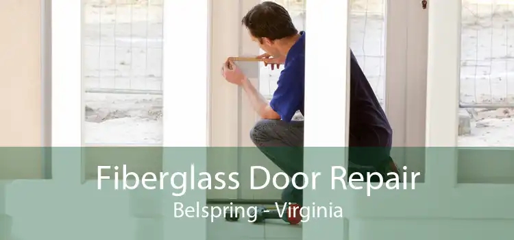 Fiberglass Door Repair Belspring - Virginia
