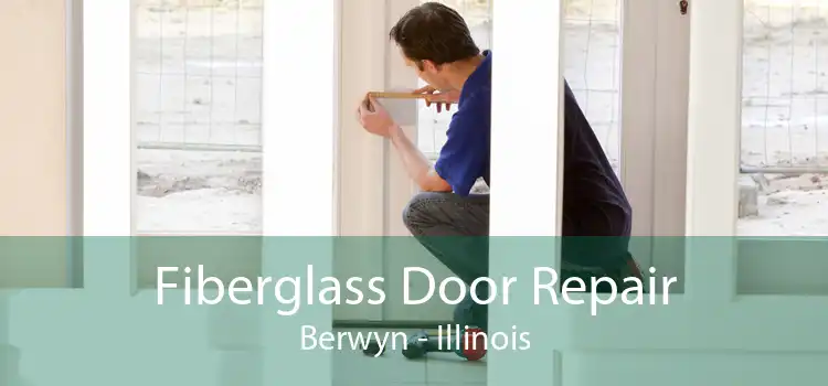 Fiberglass Door Repair Berwyn - Illinois