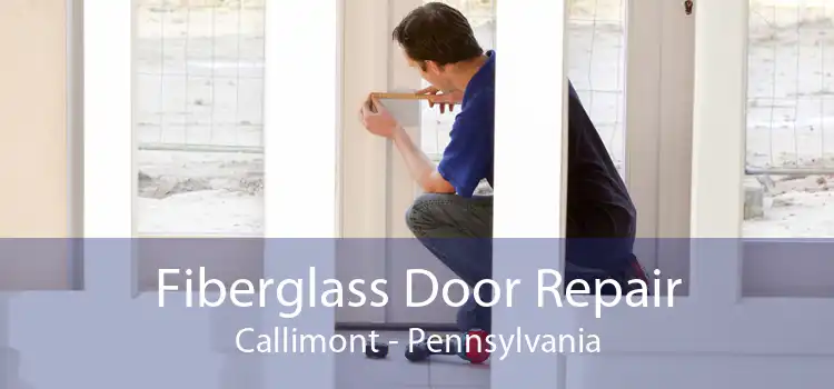 Fiberglass Door Repair Callimont - Pennsylvania