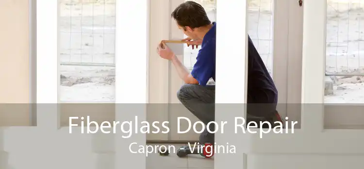 Fiberglass Door Repair Capron - Virginia