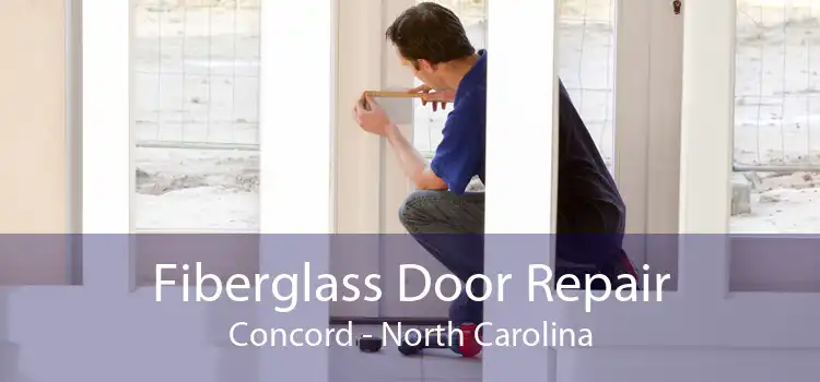 Fiberglass Door Repair Concord - North Carolina
