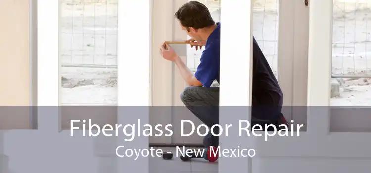 Fiberglass Door Repair Coyote - New Mexico