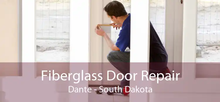 Fiberglass Door Repair Dante - South Dakota